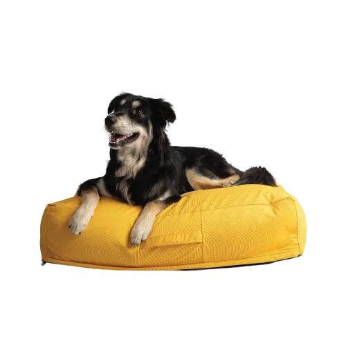 ariika Billy Pet Bed - Yellow