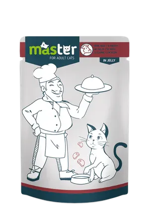 Master Cat Wet Food MEAT in Jelly Pouch 80gm