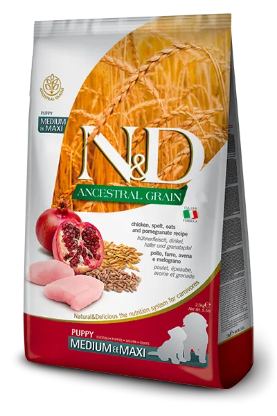 Farmina N&D Ancestral Grain - Puppy for Medium and Maxi Breeds 2.5 Kg