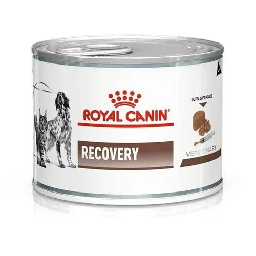 Royal Canin Recovery 195 gm