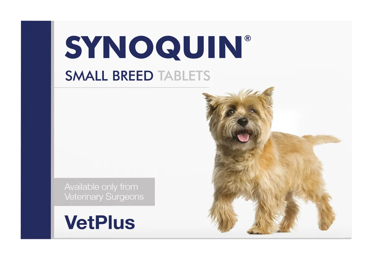 SYNOQUIN® Small Breed Tablets for Dogs <10KG - 30 Tablets